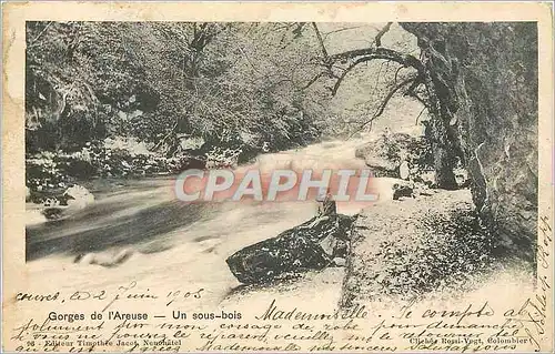 Cartes postales Gorges de l Areuse Un sous bois