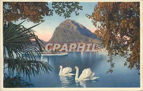 Cartes postales Lago di Lugano Monte S Salvatore Cygnes Bateau
