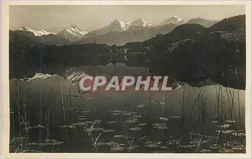 Cartes postales Spiegelung Jungfraugruppe Le reflet des Alpes