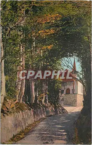 Cartes postales Kussnacht Hohle Gasse Tellskapelle