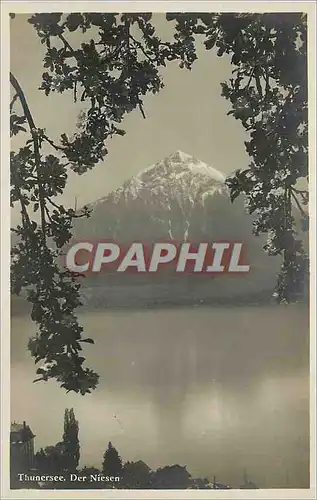 Cartes postales Thunersee Der Niesen