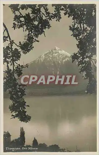 Cartes postales Thunersee Der Niesen