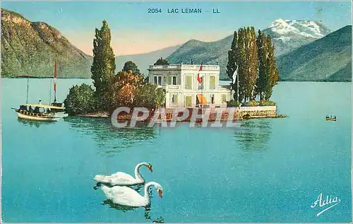 Cartes postales Lac Leman Cygnes