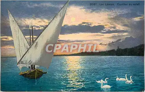 Cartes postales Lac Leman Coucher du soleil Bateau Cygnes