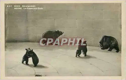 Cartes postales Bern Barengraben La fosse aux ours