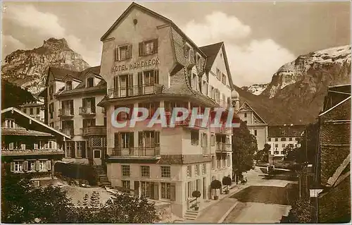 Cartes postales Engelberg Hotel Muller Hoheneck mit Hahnen