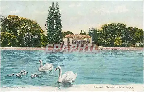 Cartes postales Geneve Musee de Mon Repos Cygnes