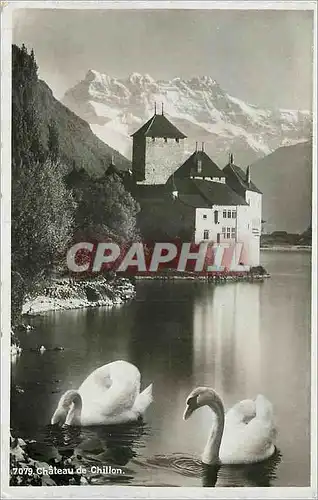Cartes postales Chateau de Chillon Cygnes