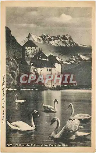 Cartes postales Chateau de Chillon et les Dents du Midi Cygnes