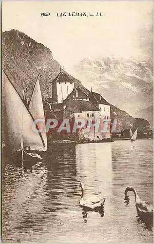 Ansichtskarte AK Lac Leman Bateau Cygnes