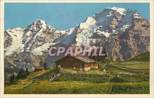 Cartes postales Murren Monch Jungfrau