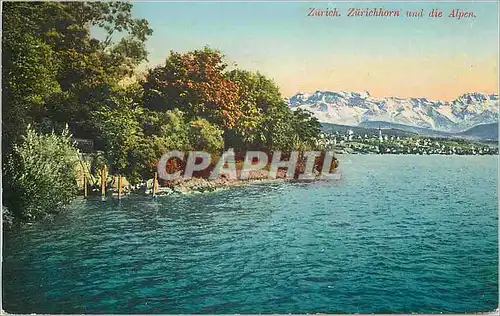 Cartes postales Zurich Zurichhorn und die Alpen