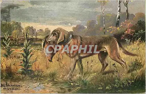 Cartes postales Chien Chasse