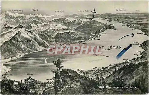 Cartes postales moderne Panorama du Lac Leman