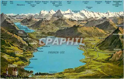 Cartes postales Thun Thuner See Thun Mit Berner Oberland Verlag H Steinhauer Interlaken