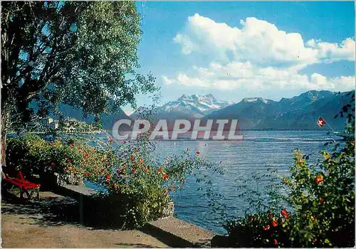 Cartes postales moderne Lac Leman et les Dents du Midi Genfersee und Dents du Midi Lago di Genevra ed I Dents du Midi co