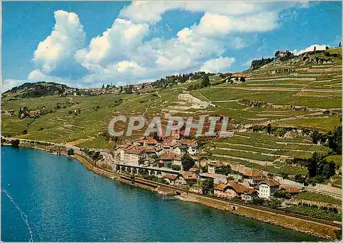 Cartes postales moderne Saint Saphorin pres Vevey Vignobles de Lavaux Lac Leman Photoglob Wehrli S A Zurich Vevey