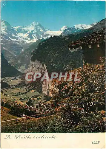 Cartes postales moderne La Luisse radieuse Iris Vue sur la Vallee de Lauterbrunnen Landschaft in der Nahe von Lauterbrun