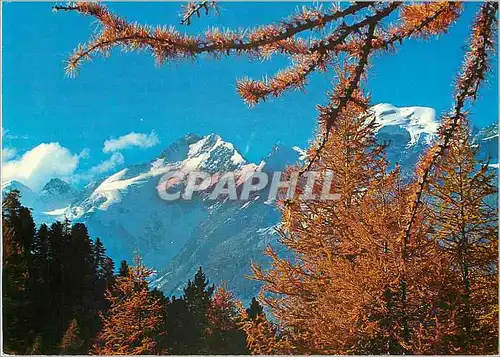 Cartes postales moderne Herbsttag im Oberengadin der Piz Bernina Photo und Verlag Han Steiner St Moritz