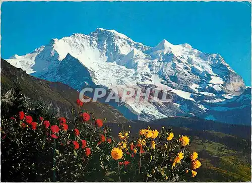 Cartes postales moderne Die Jungfrau Photoglob Wehrli Ag Zurich