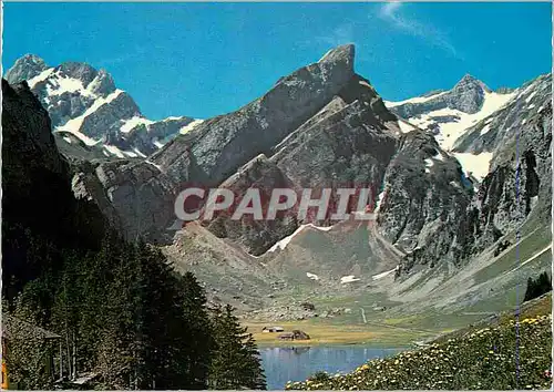 Cartes postales moderne Seealpsee mit Altmann Rotsteinpab Robmad und Santis