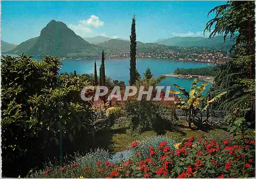 Cartes postales moderne Lugano Lago di Lugano Monte S Salvatore visto de Castagnola Blick von Castagnola auf den Luganer