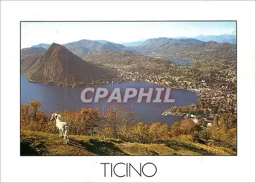 Cartes postales moderne Ticino Lugano