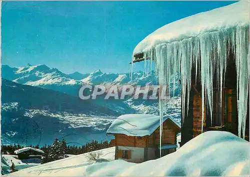 Cartes postales moderne Crans Montana alt m Les Plans Mayens et les Alpes Photoglob Wehrli S A Zurich Vevey