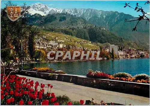 Cartes postales moderne Montreux Clarens Les Quals fleuris Die bluehenden Kais