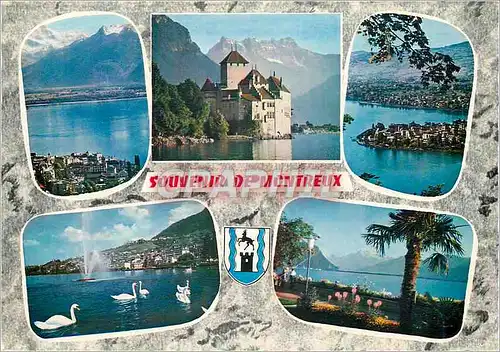 Cartes postales moderne Souvenir de Montreux Montreux et les Dents du Midi Chateau de Chillon Territet Montreux Clarens