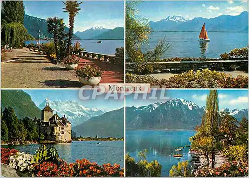 Cartes postales moderne Montreux Photoglob Wehrli S A Zurich Vevey