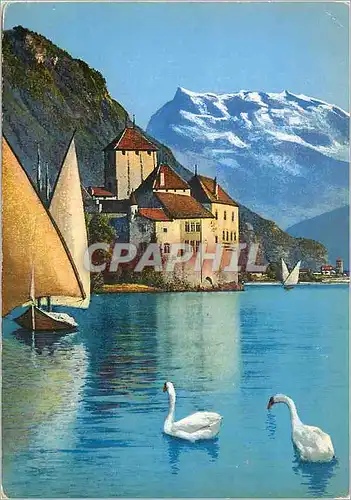 Moderne Karte Le Lac Leman