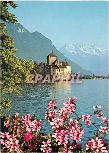 Cartes postales moderne Chillon Montreux Le Chateau de Chillon et les Dents du Midi Reproduction interdite
