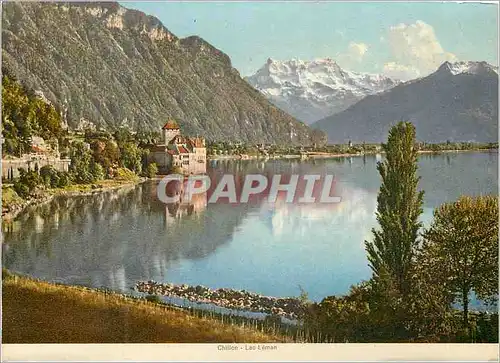 Cartes postales moderne Chillon Lac Leman