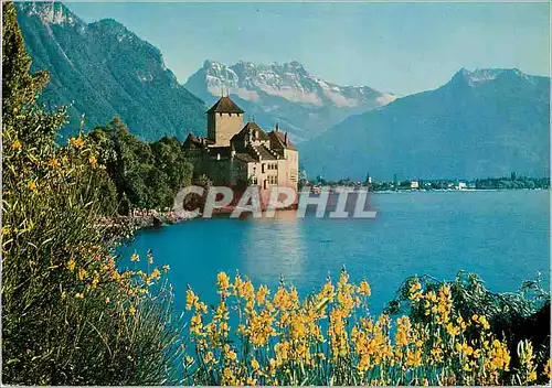 Cartes postales moderne Chateau de Chillon lac leman Suisse