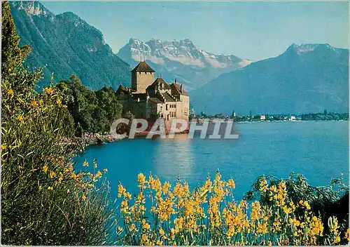 Moderne Karte Chateau de Chillon lac leman Suisse