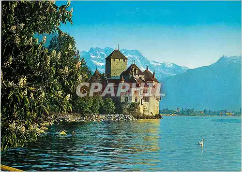 Cartes postales moderne Montreux Le Chateau de Chillon et les Dents du Midi Das Schloss Chillon und die Dents du Midi Ca