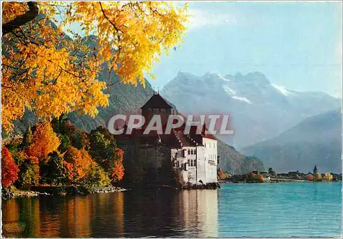 Cartes postales moderne Lac Leman Le Chateau de Chillon et les Dents du Midi Lumicap Collectionez les Cartes Postales