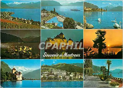 Moderne Karte Souvenir de Montreux Photoglob Werhli S A Zurich Vevey