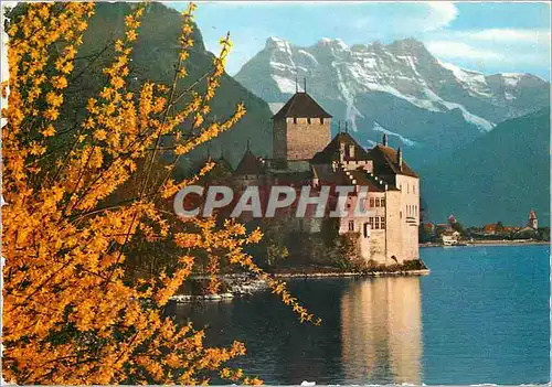 Cartes postales moderne Chateau de Chillon et les Dents du Midi Schloss Chillon und die Dents du Midi Mittageziken Caste