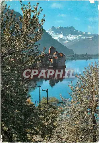Cartes postales moderne Montreux Le Chateau de Chillon Il Castello di Chillon Das Schloss Chillon Meaux La Cathedrale La