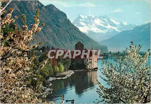 Cartes postales moderne Lac Leman Le Chateau de Chillon et les Dents du Midi au Printempt Sermaine Suisse Seconde Quinza
