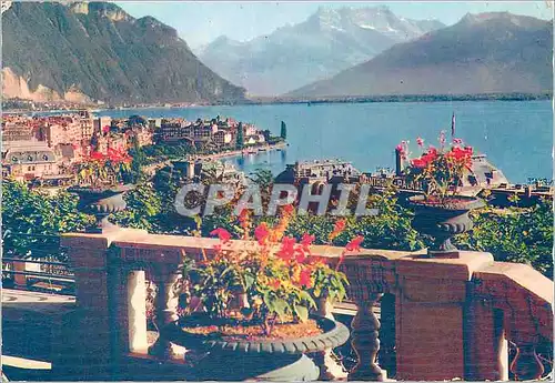 Cartes postales moderne Montreux et les Dents du Midi Septembre Musical Iris Mexichrome