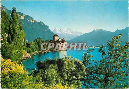 Cartes postales moderne Montreux Chateau de Chillon et Dents du Midi Schloss Chillon mit Dents du Midi Castello Chillon