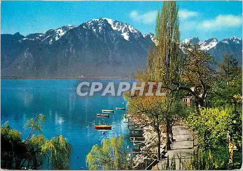 Moderne Karte Montreux Le Gramont Photoglob S A Zurich Vevey Helvetia Zurich