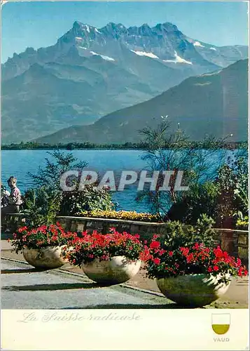 Cartes postales moderne La Suisse Quai Radieuse Quai ileuri de Montreux et les Dents du Midi Fetes de Geneve 12 14 Aout