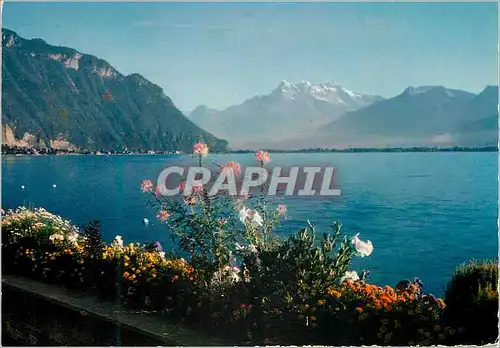 Cartes postales moderne Montreux Chillon Le Quai et les Dents du Midi Bons Solaires Economie Saine Helvetia Zurich