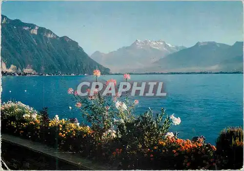 Cartes postales moderne Montreux Chillon Le Quai et les Dents du Midi Helvetia