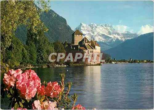 Cartes postales moderne Chateau de Chillon pres Montreux Lac Leman et les Dents du Midi Schloss Chillon bei Montreux mit