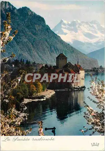 Cartes postales moderne La Suisse radieuse Le Chateau de Chillon et les Dents du Midi Schloss Chillon am Genfersee Haute